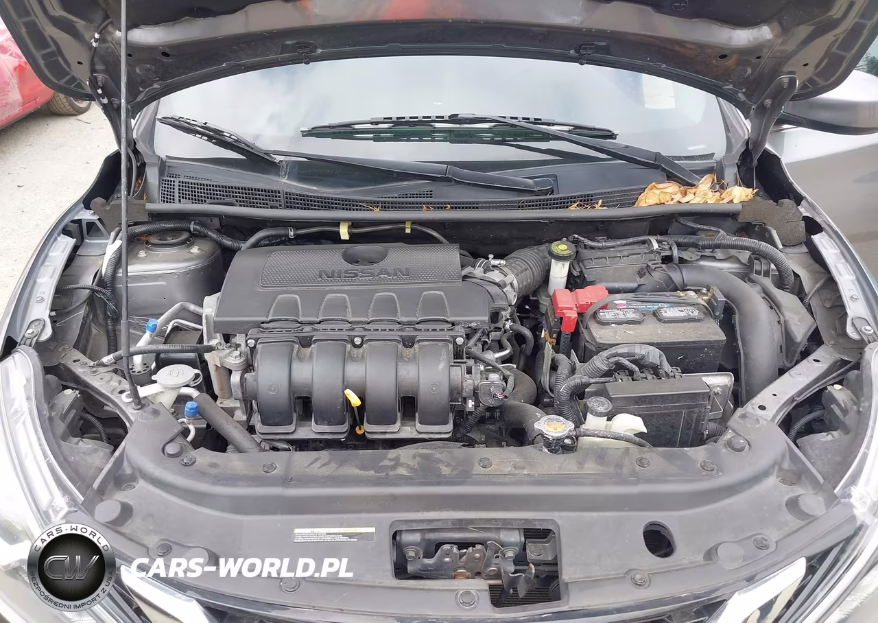 2016 Nissan Sentra Fe+ S-S-Sl-Sr-Sv VIN:3N1AB7AP2GY218303 - 10