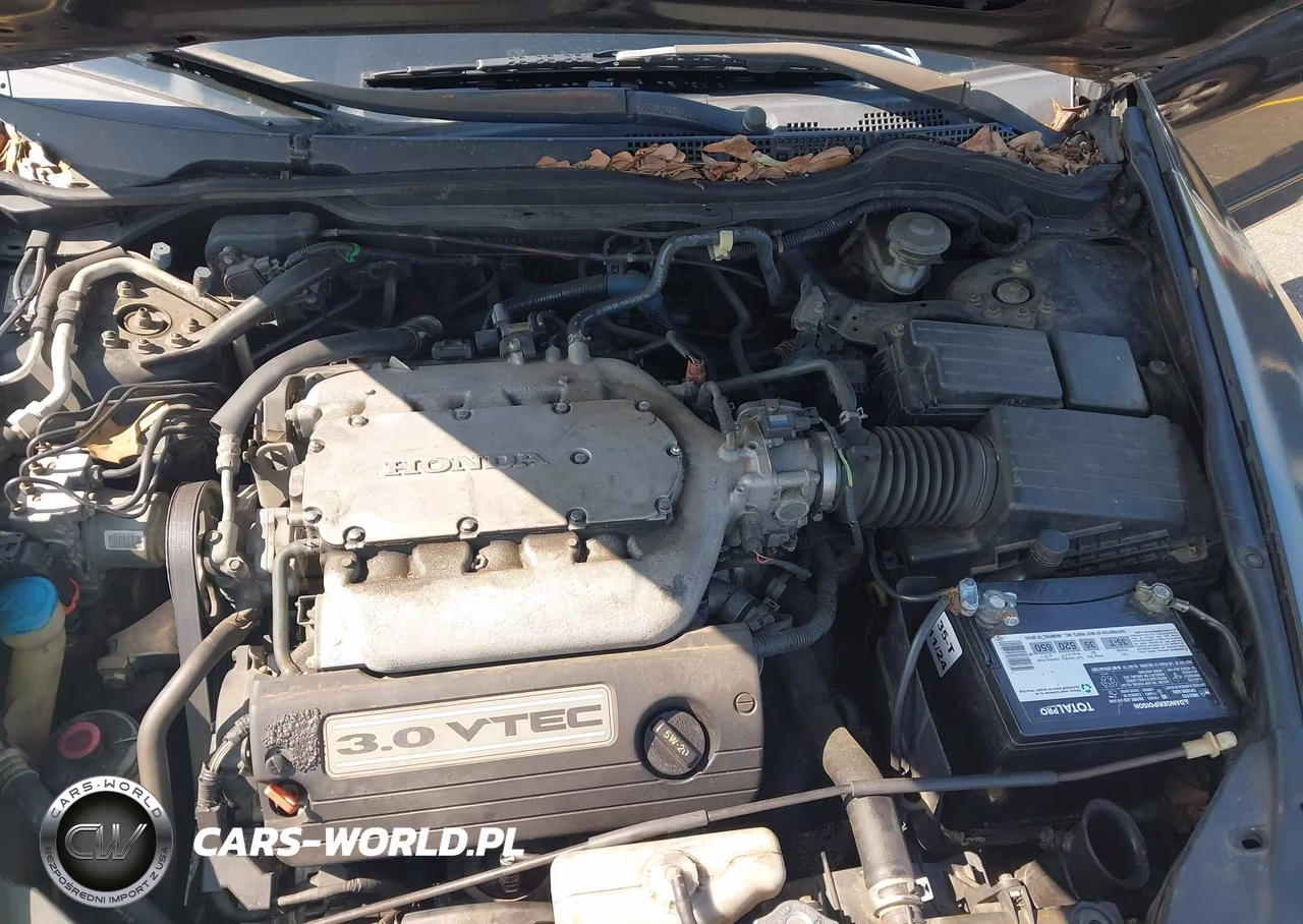 2004 Honda Accord 3.0 Ex VIN:1HGCM66584A028217 - 10