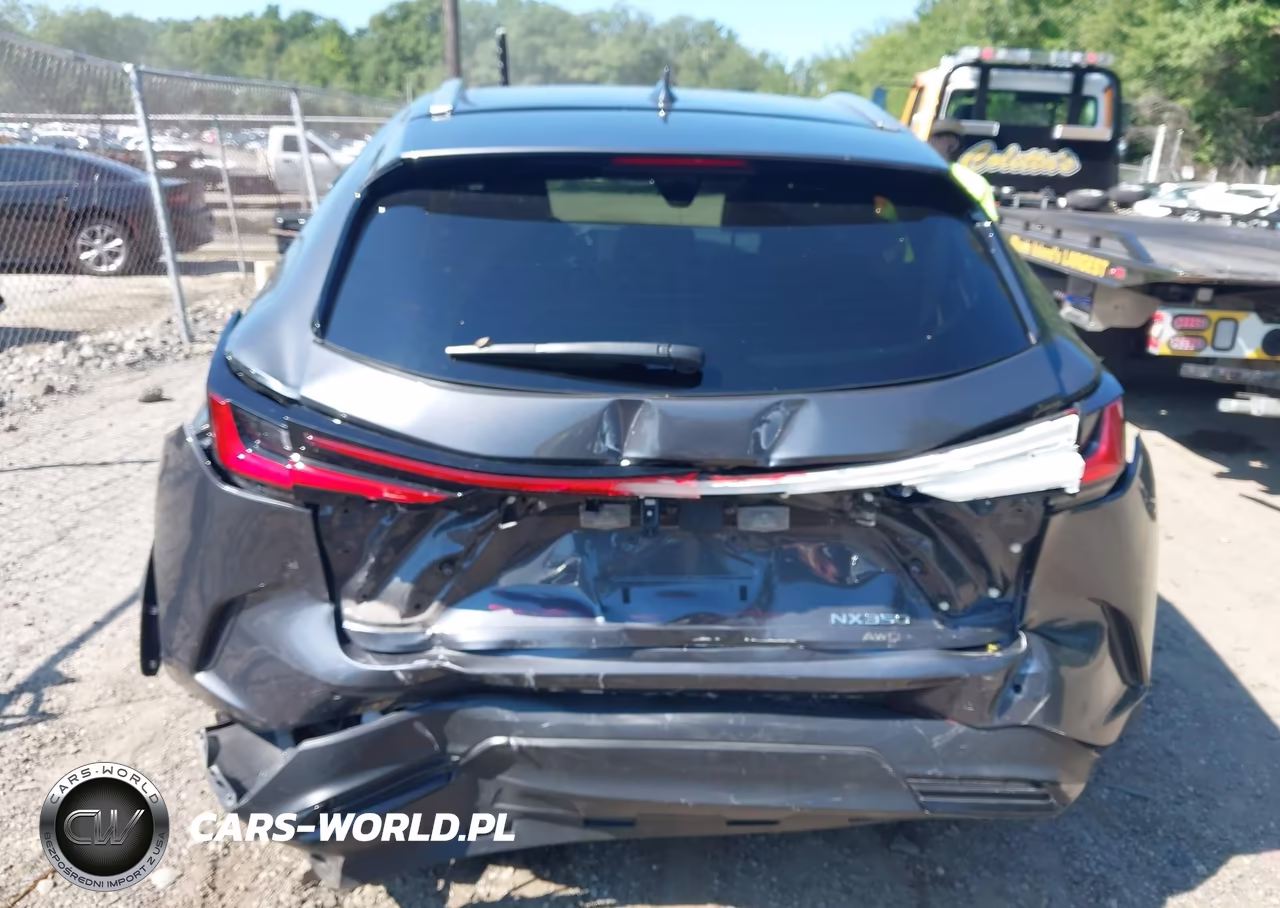 2025 Lexus Nx 350 Premium VIN:2T2GGCEZ6SC088527 - 16