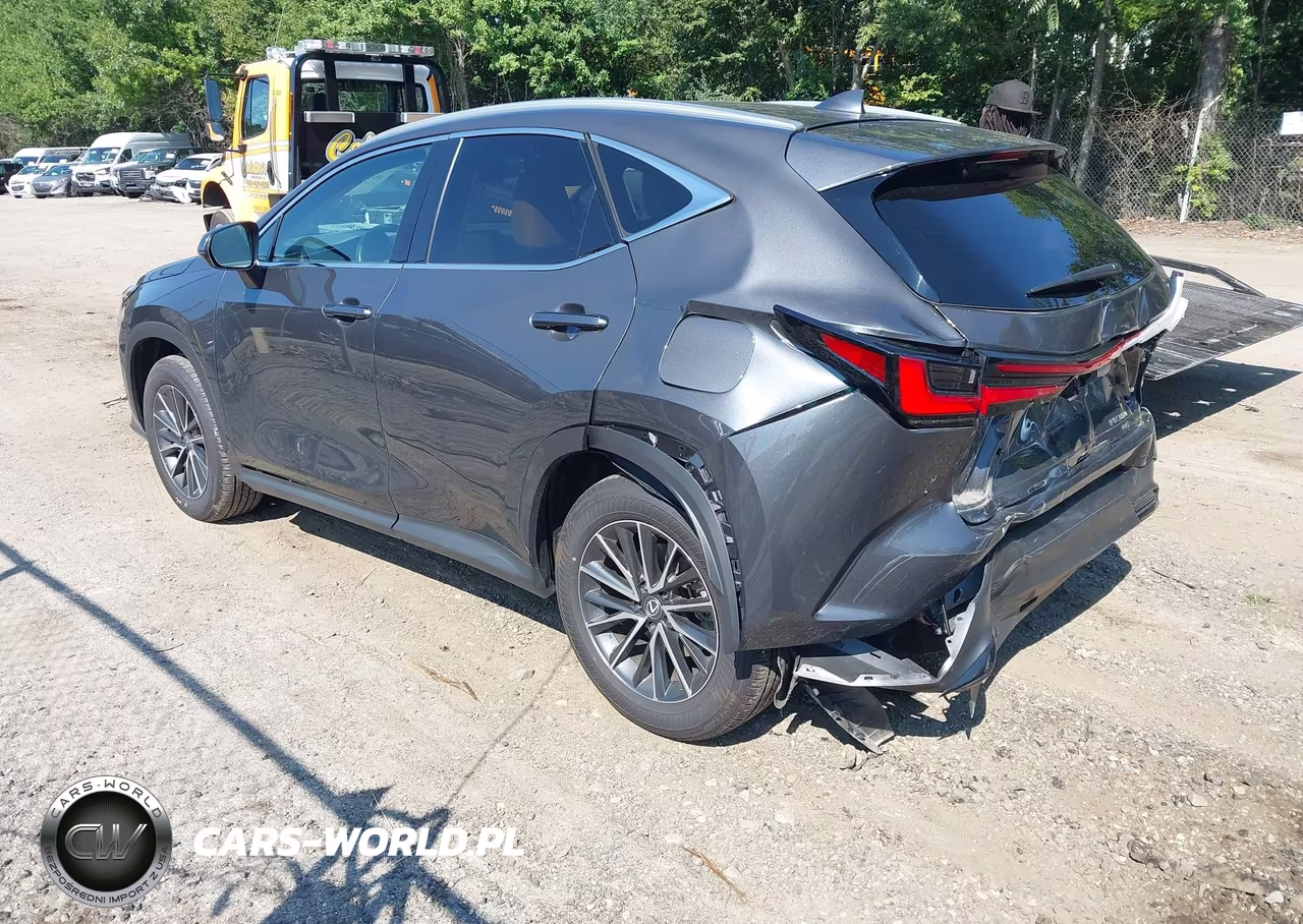 2025 Lexus Nx 350 Premium VIN:2T2GGCEZ6SC088527 - 3