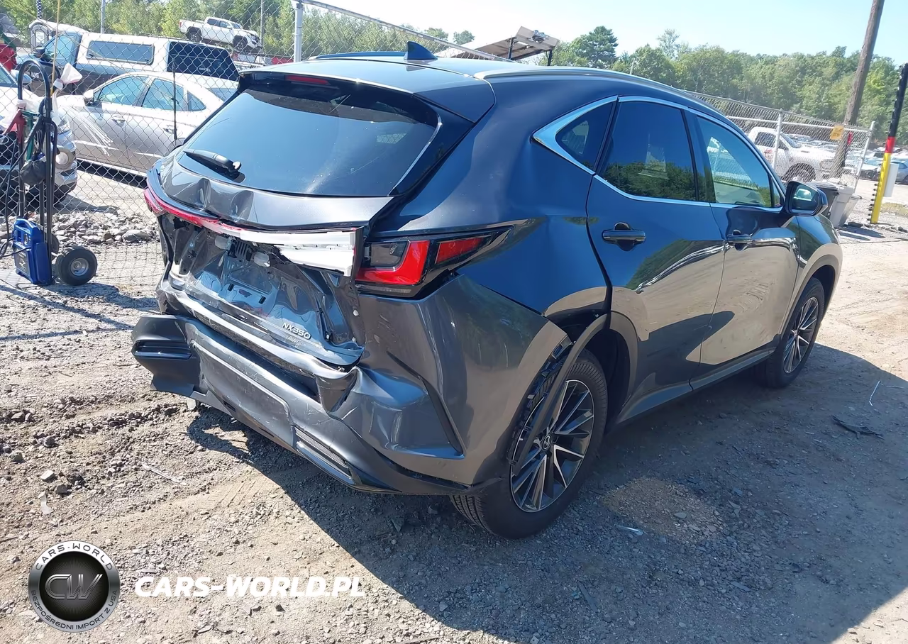 2025 Lexus Nx 350 Premium VIN:2T2GGCEZ6SC088527 - 4