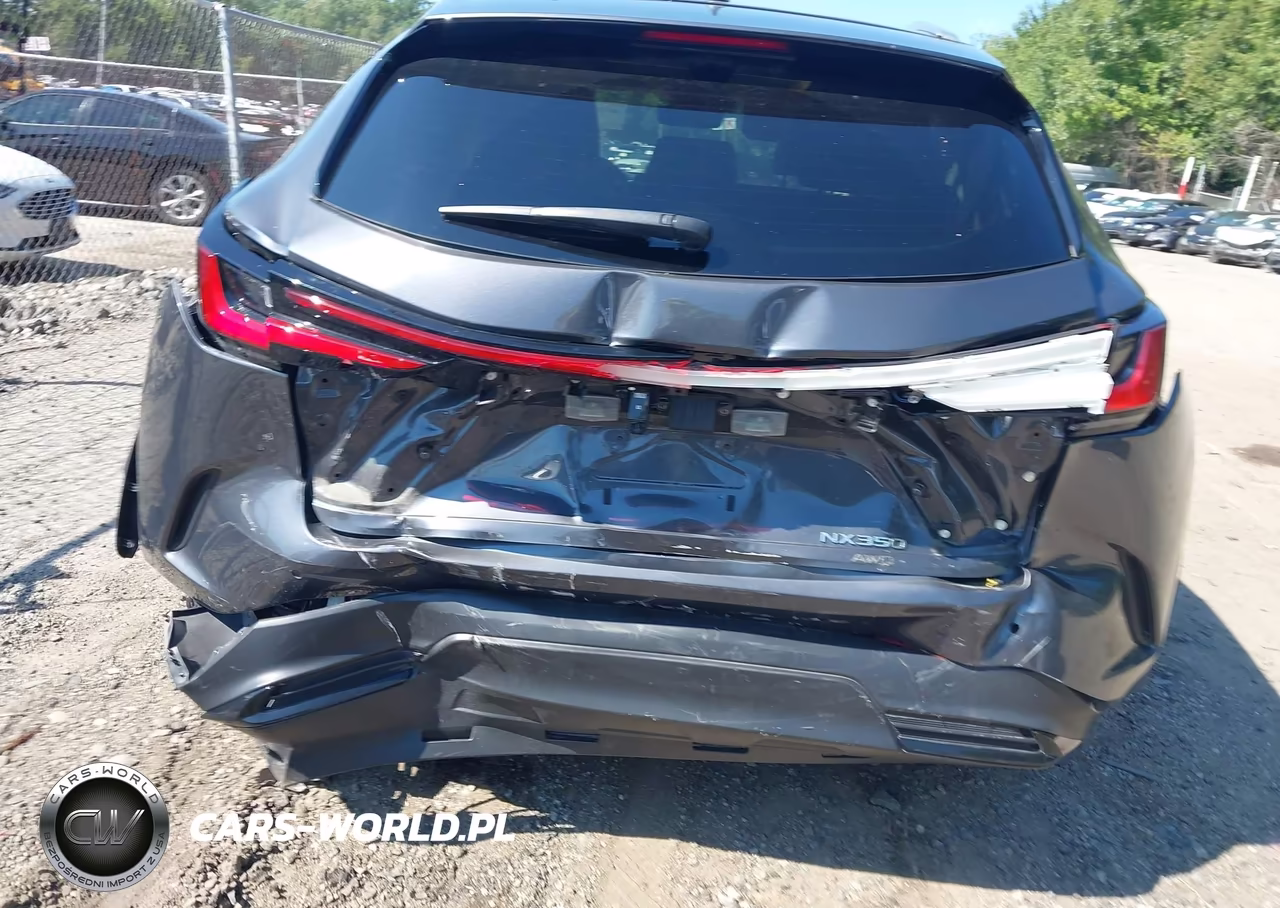 2025 Lexus Nx 350 Premium VIN:2T2GGCEZ6SC088527 - 6