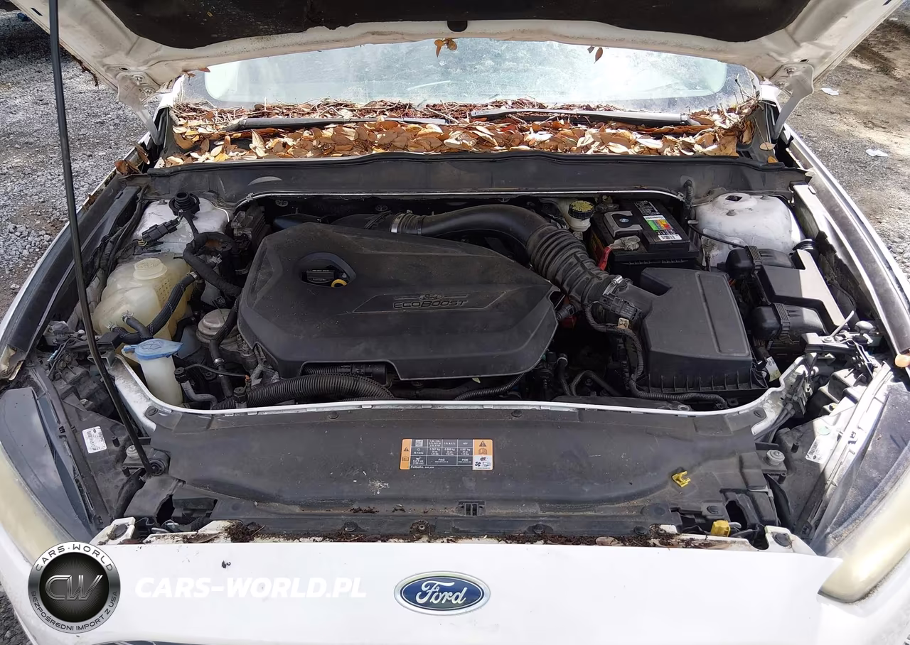2013 Ford Fusion Se VIN:3FA6P0HRXDR167549 - 10