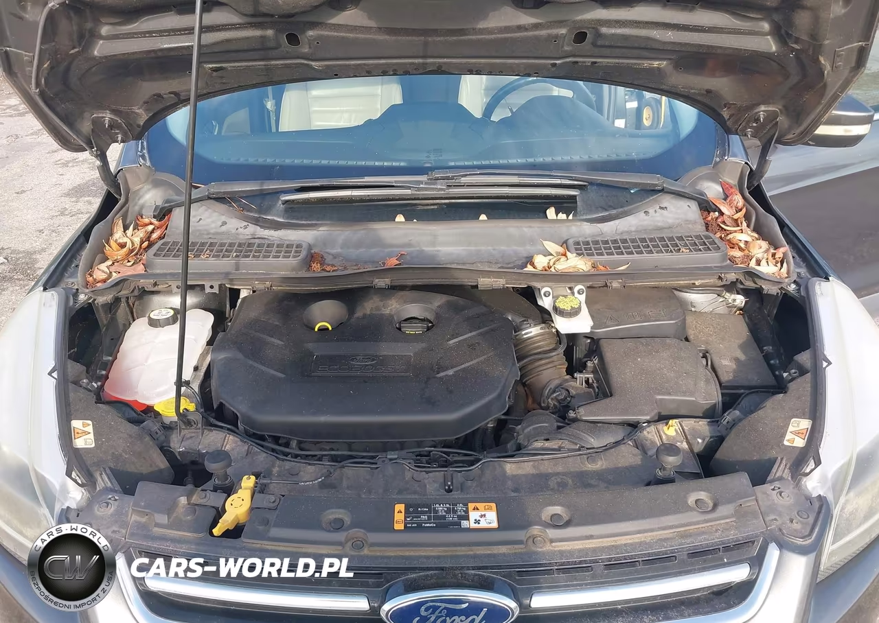 2016 Ford Escape Titanium VIN:1FMCU0J99GUB84092 - 10
