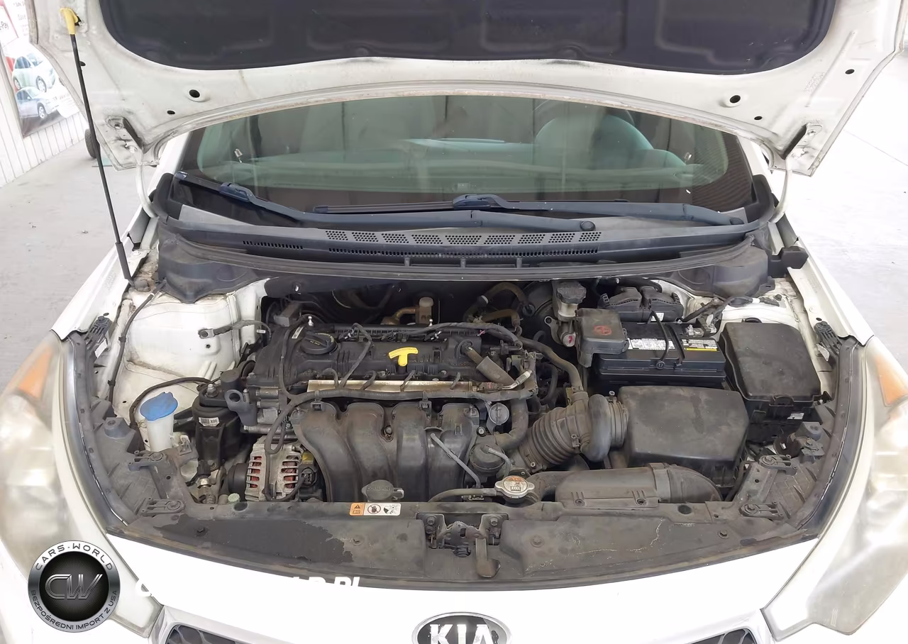 2015 Kia Forte Lx VIN:KNAFX4A69F5323889 - 10