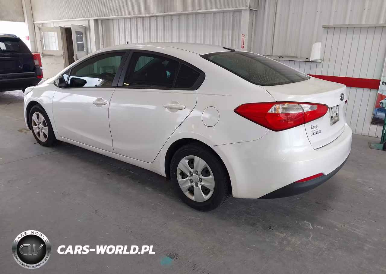 2015 Kia Forte Lx VIN:KNAFX4A69F5323889 - 3