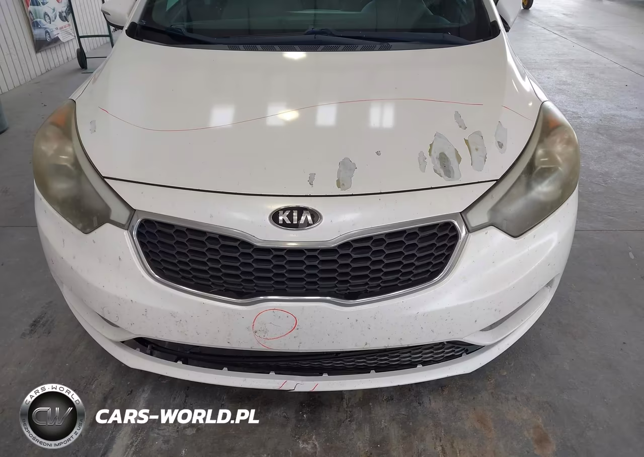 2015 Kia Forte Lx VIN:KNAFX4A69F5323889 - 6