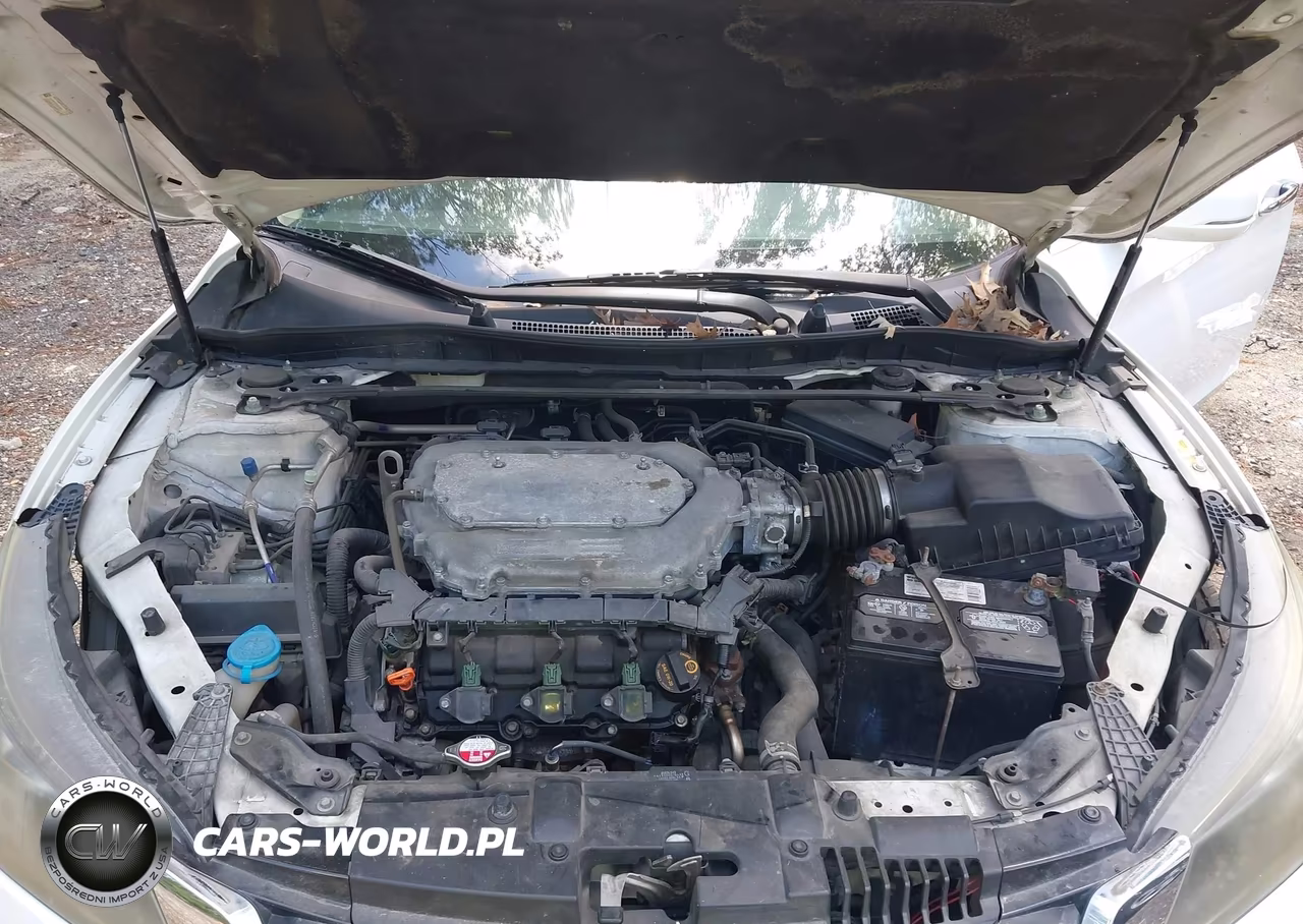2013 Honda Accord Ex-L V-6 VIN:1HGCR3F87DA013640 - 10