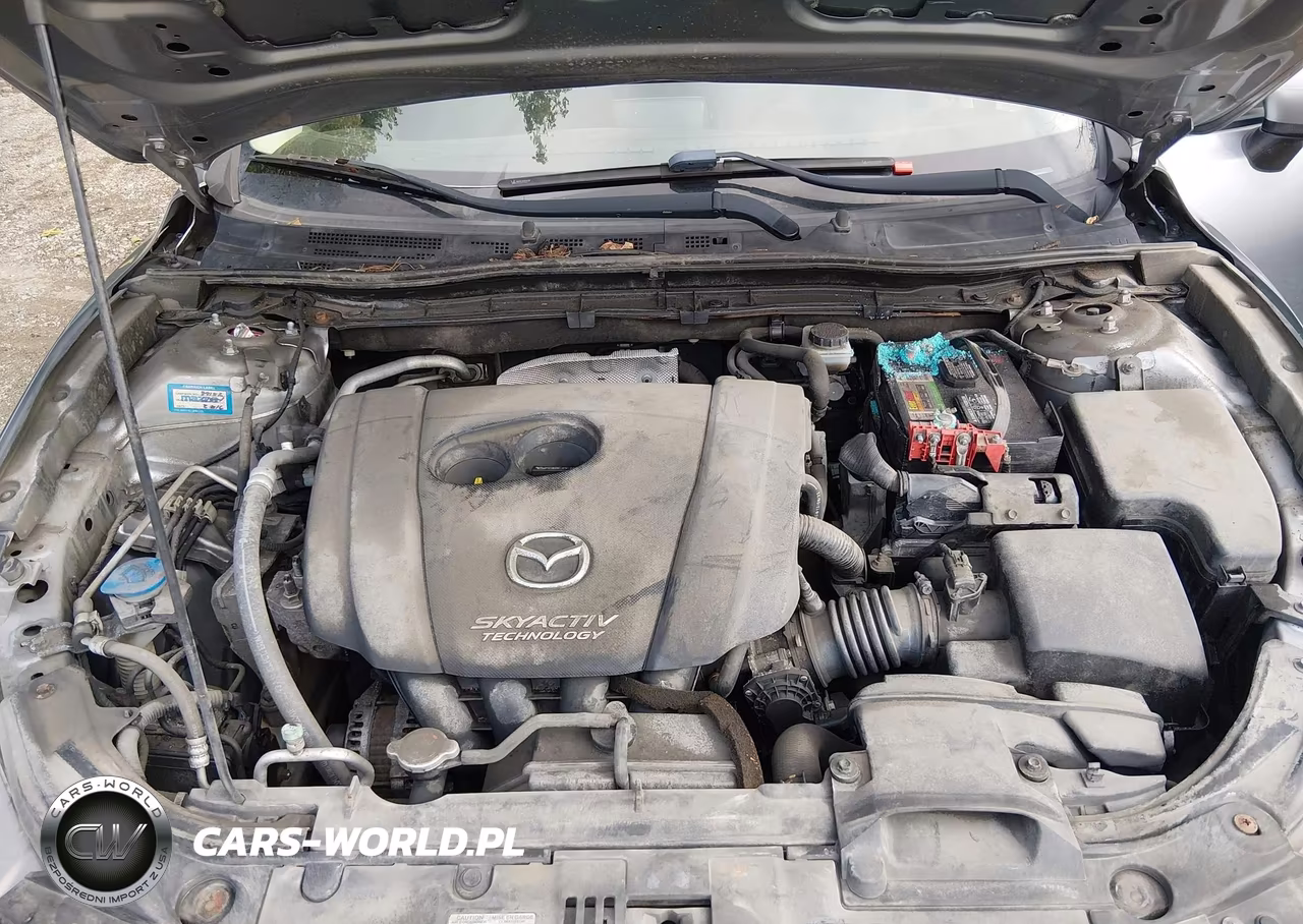 2014 Mazda Mazda3 I Sport VIN:JM1BM1U74E1148812 - 10
