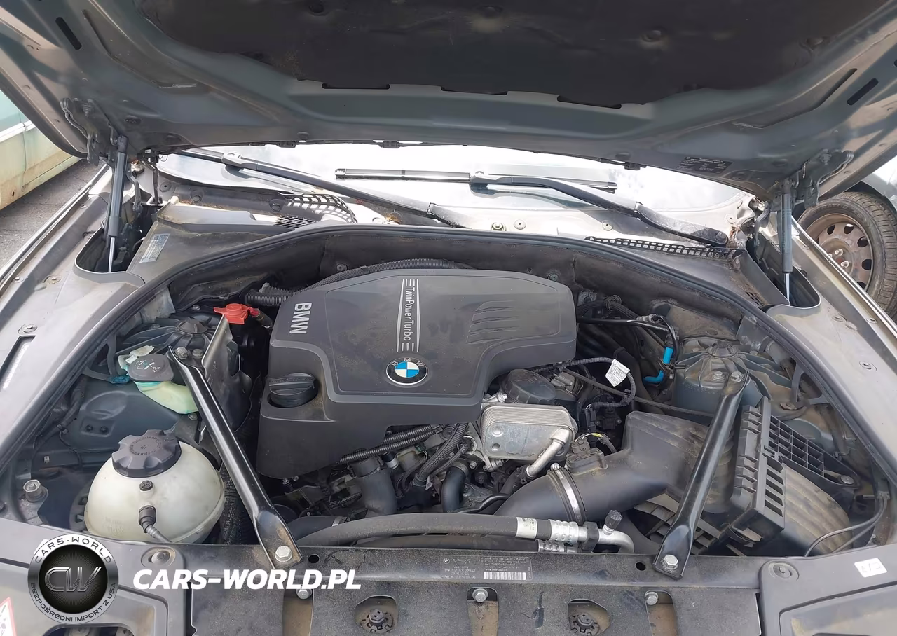 2012 BMW 528I VIN:WBAXG5C58CDY29102 - 10