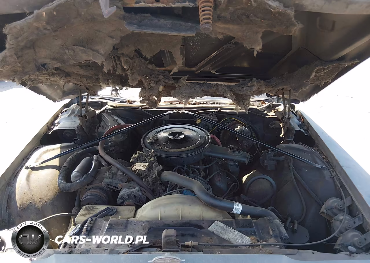 1976 Buick Riviera VIN:4Z87Y6H425022 - 10