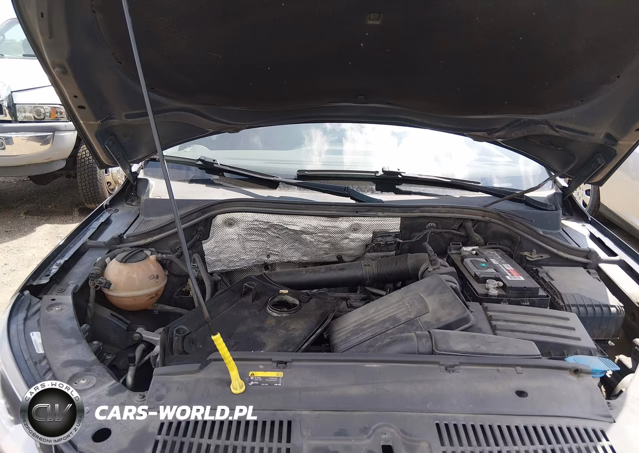 2015 Volkswagen Tiguan S VIN:WVGBV7AX9FW522707 - 10