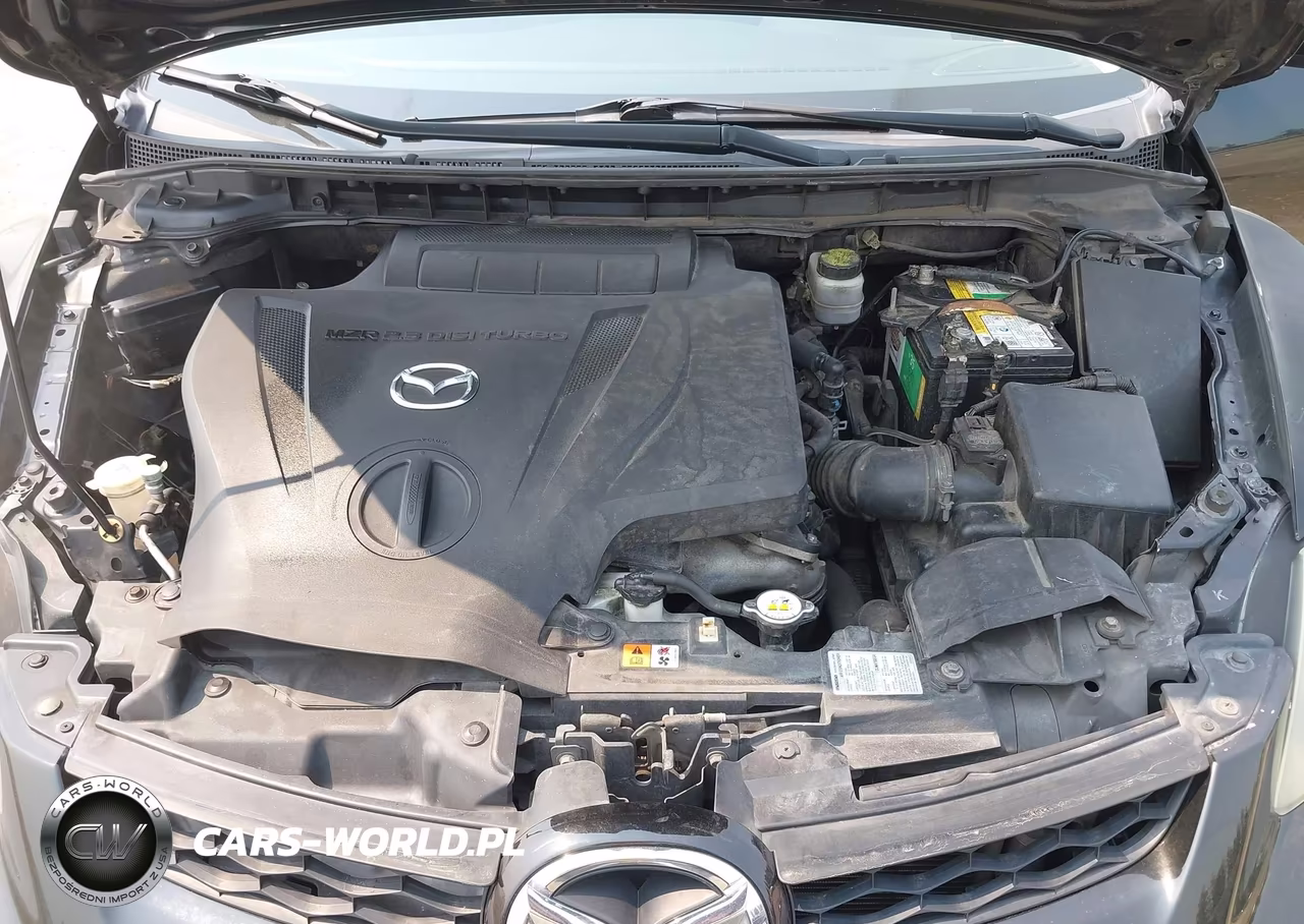 2010 Mazda Cx-7 S Touring VIN:JM3ER4WL9A0300178 - 10