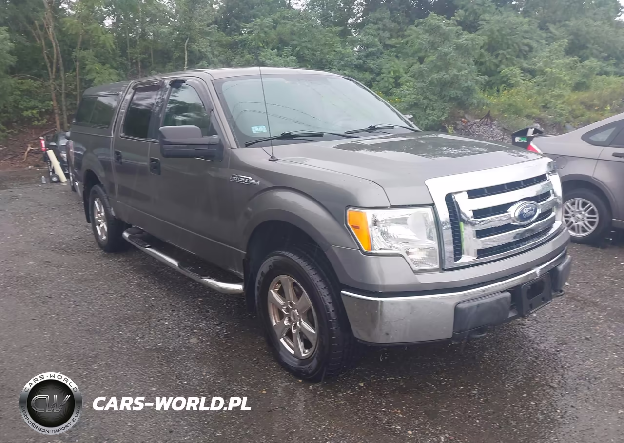 2009 Ford F-150 Xlt – zdjęcie 1 z 16