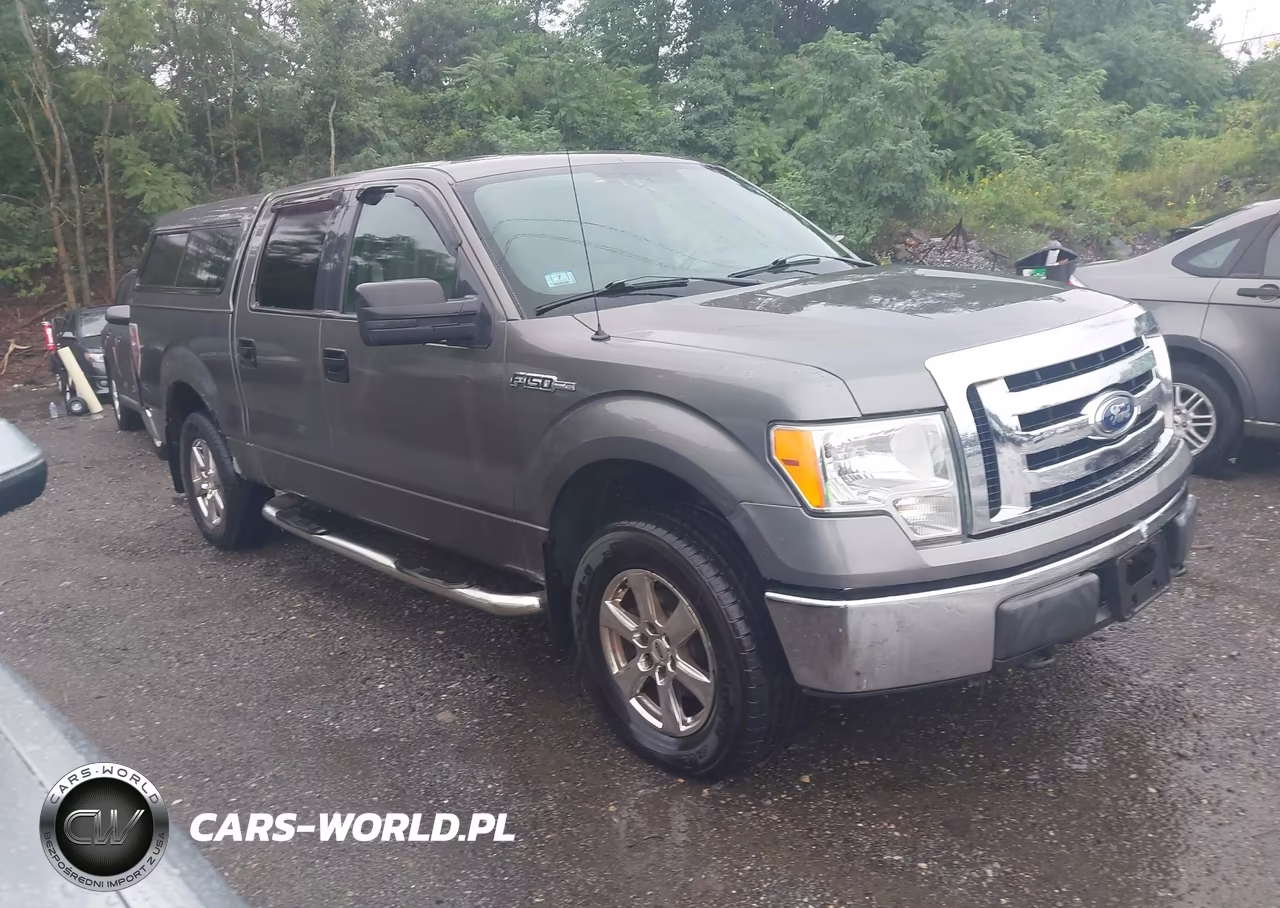 2009 Ford F-150 Xlt VIN:1FTPW14V39KC72052 - 13