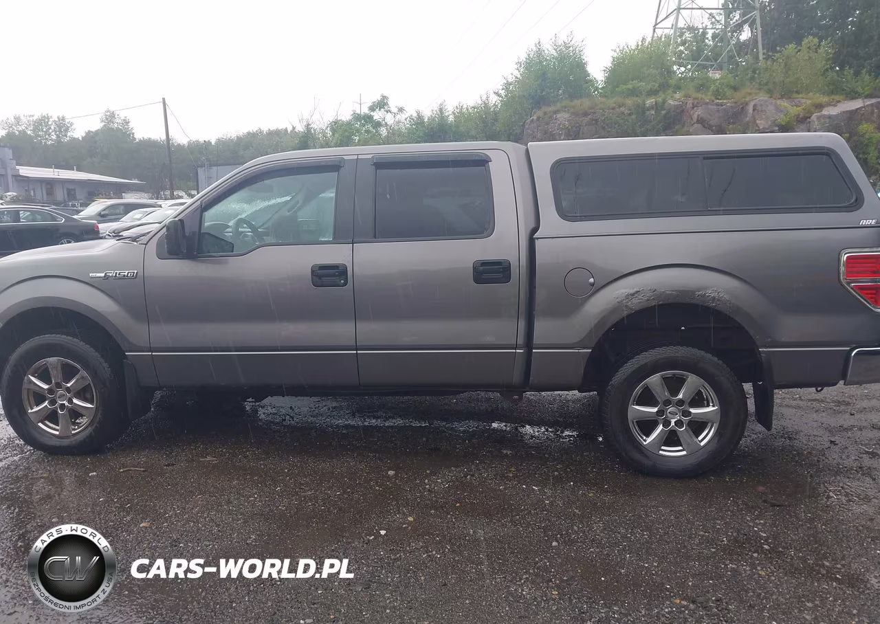2009 Ford F-150 Xlt VIN:1FTPW14V39KC72052 - 14