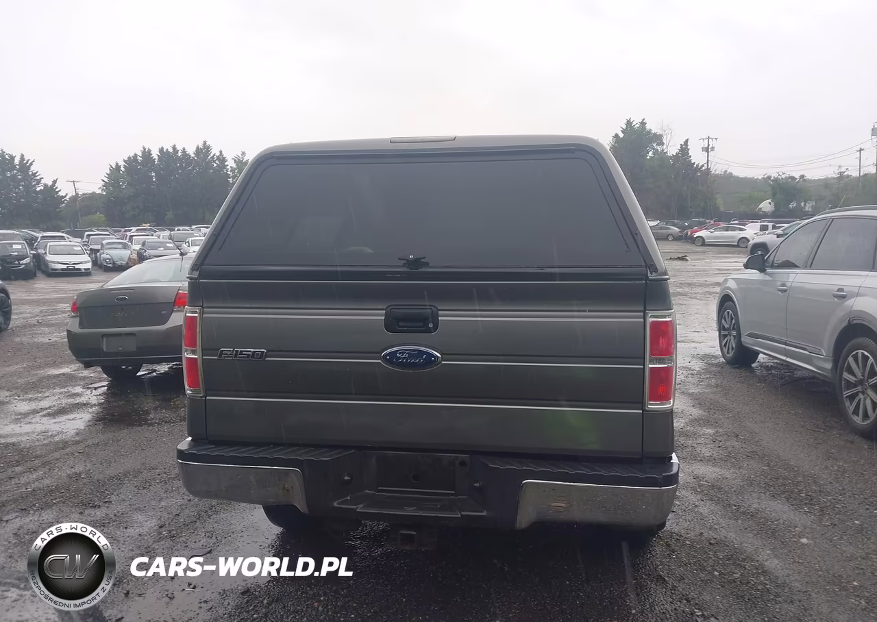 2009 Ford F-150 Xlt VIN:1FTPW14V39KC72052 - 16