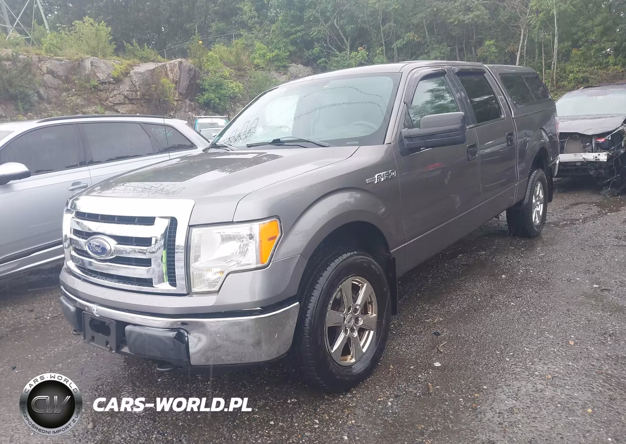 2009 Ford F-150 Xlt VIN:1FTPW14V39KC72052 - 2