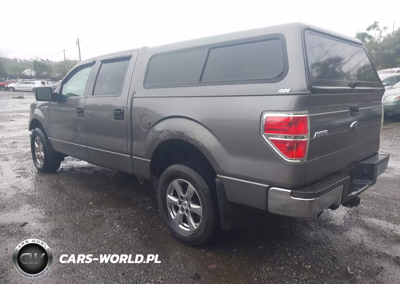 2009 Ford F-150 Xlt VIN:1FTPW14V39KC72052 - 3