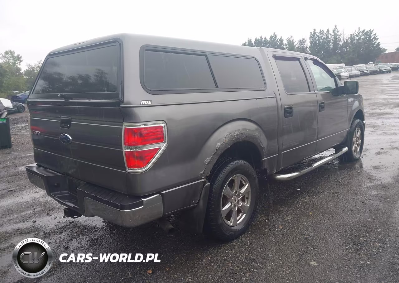 2009 Ford F-150 Xlt VIN:1FTPW14V39KC72052 - 4