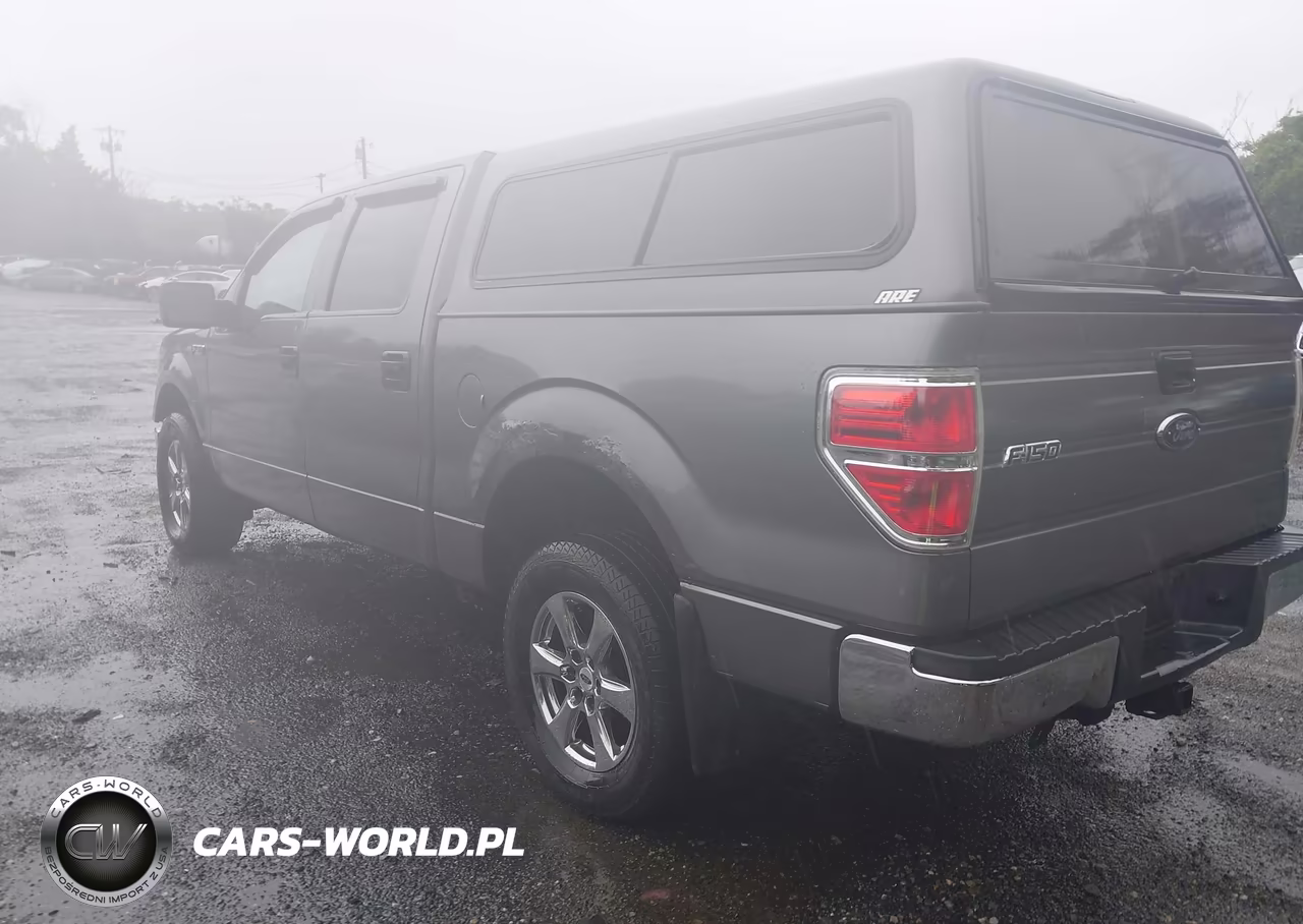 2009 Ford F-150 Xlt VIN:1FTPW14V39KC72052 - 6