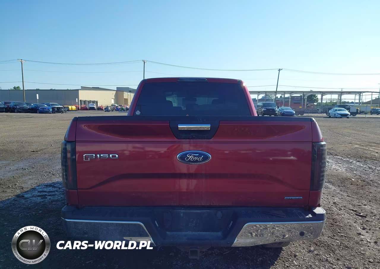 2015 Ford F-150 Xlt VIN:1FTFW1EF4FFB84814 - 17