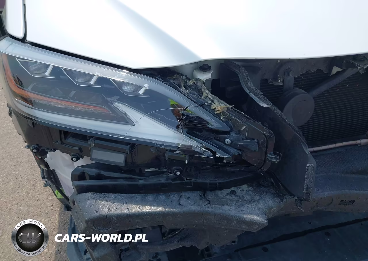 2021 Lexus Es 350 Ultra Luxury VIN:58AFZ1B16MU084341 - 20