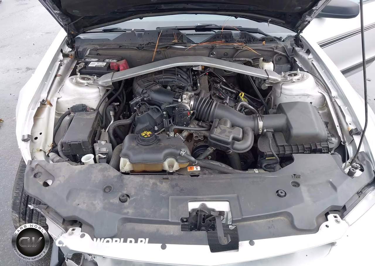 2012 Ford Mustang V6 VIN:1ZVBP8EM9C5273201 - 10