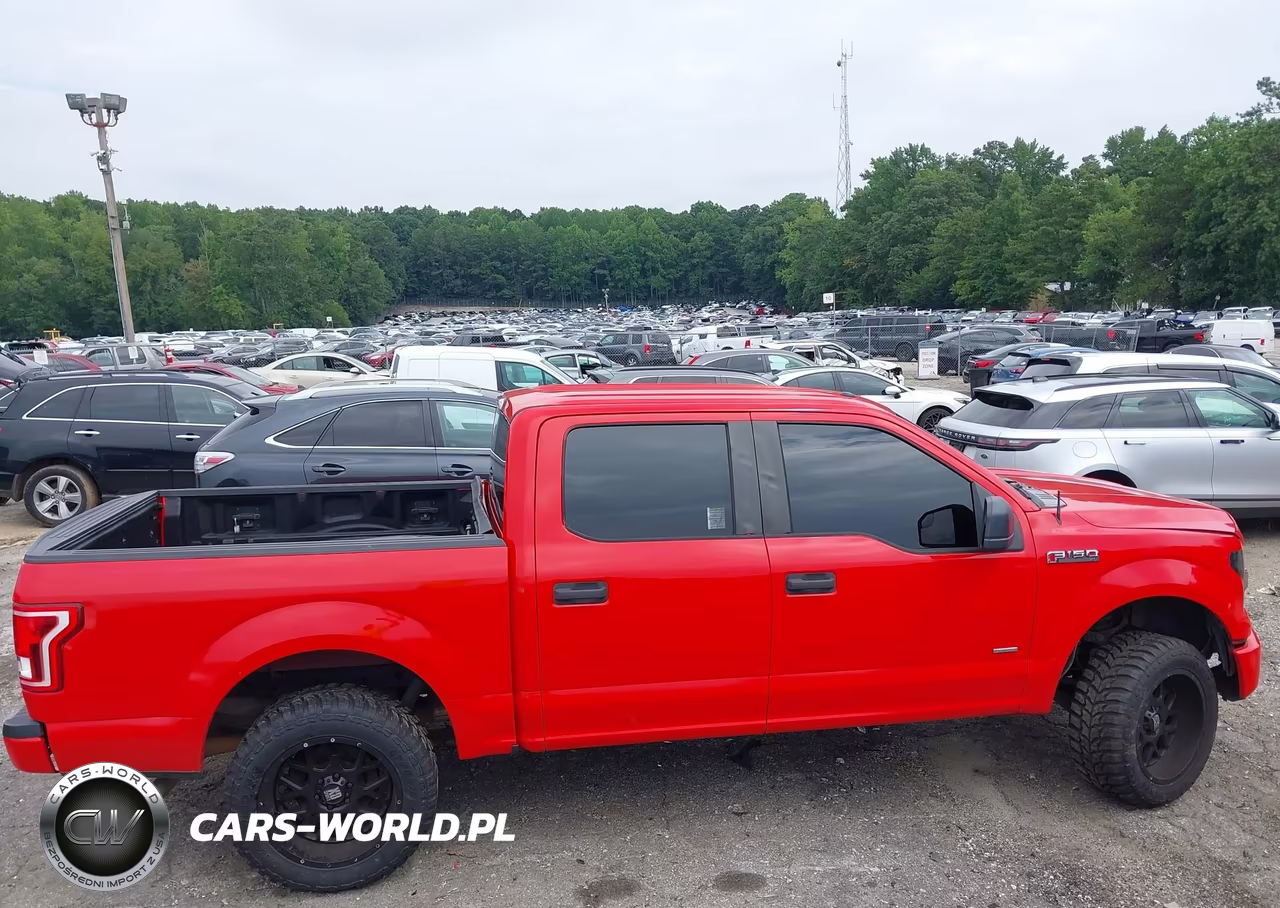 2015 Ford F-150 Xl VIN:1FTEW1CP1FKD04079 - 13