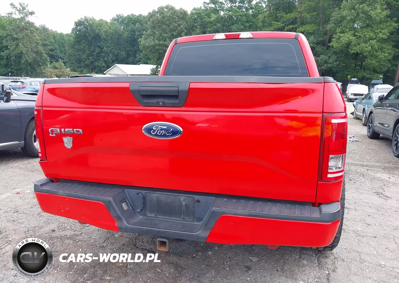 2015 Ford F-150 Xl VIN:1FTEW1CP1FKD04079 - 16