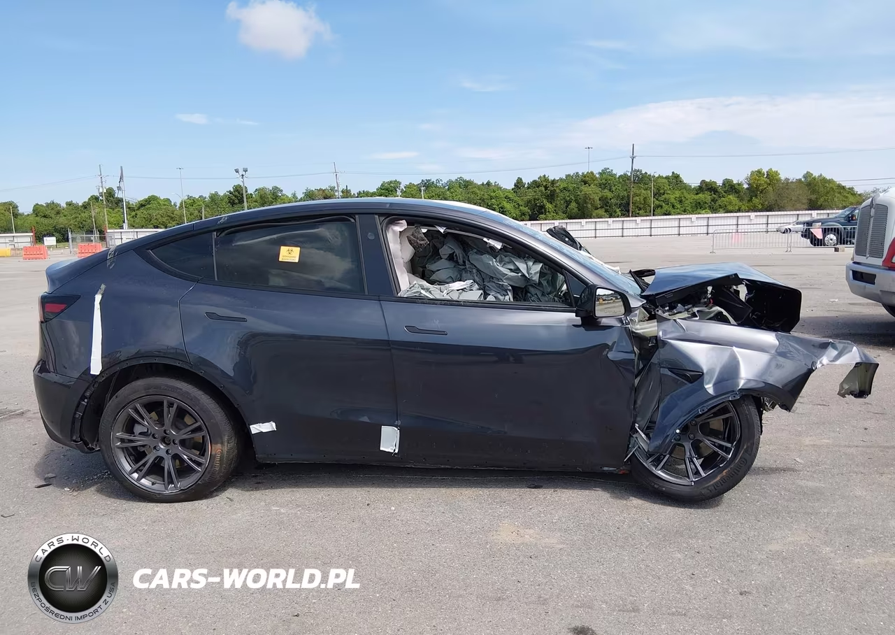2025 Tesla Model Y Long Range Dual Motor Rear-Wheel Drive VIN:7SAYGDEDXSA378946 - 12