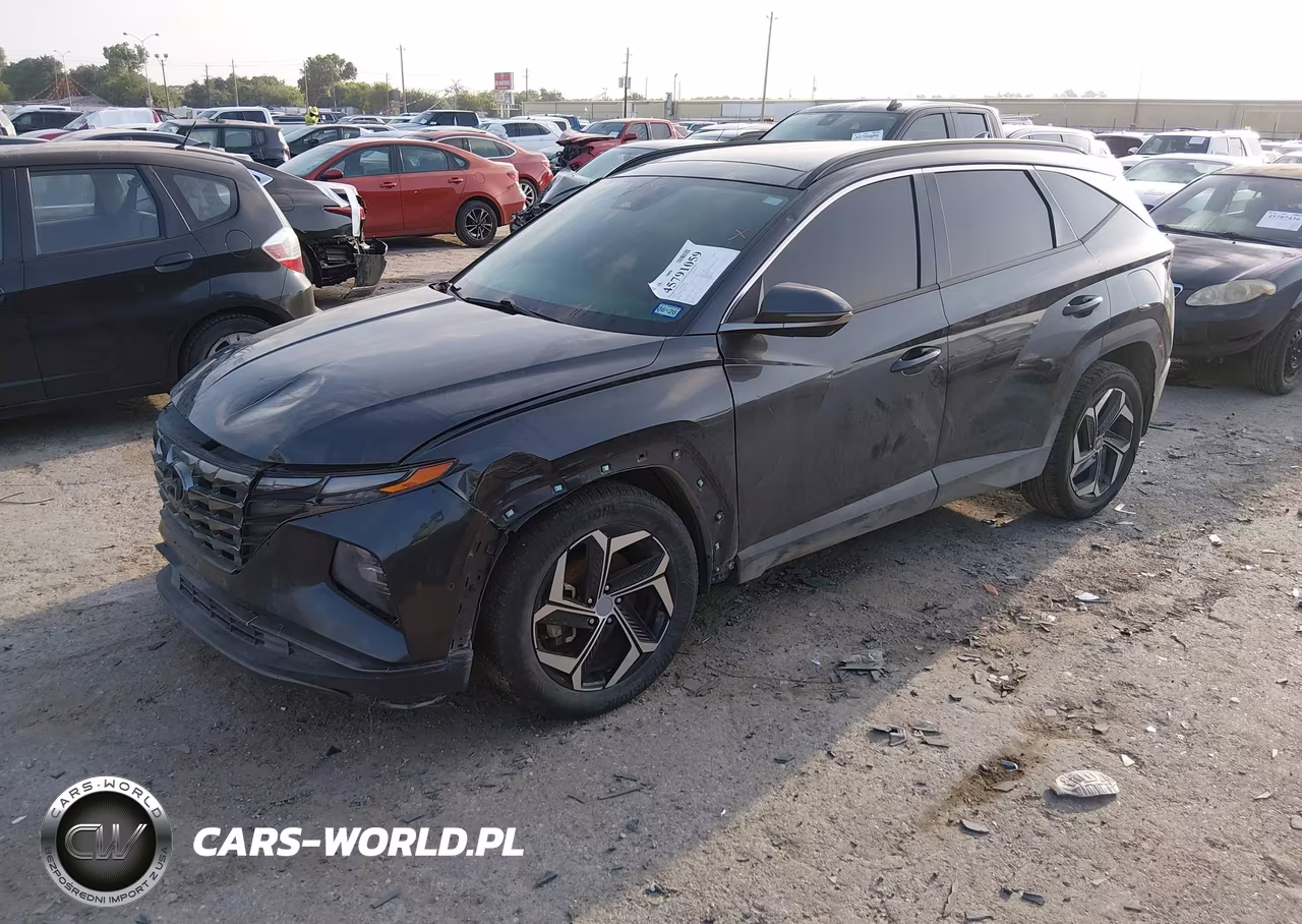 2023 Hyundai Tucson Limited VIN:5NMJE3AE7PH277482 - 2