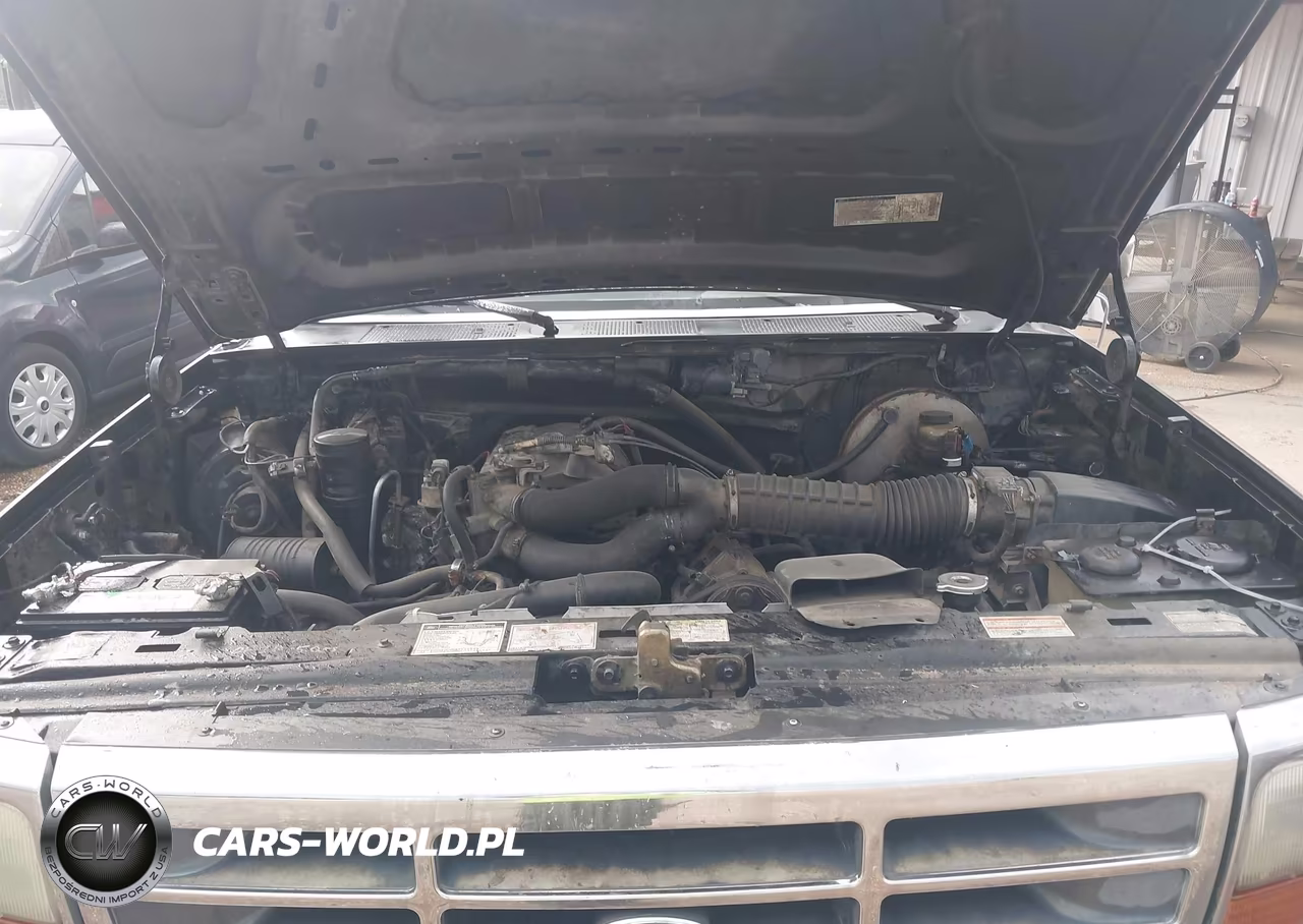 1994 Ford F150 VIN:1FTEF15N6RNB42383 - 10