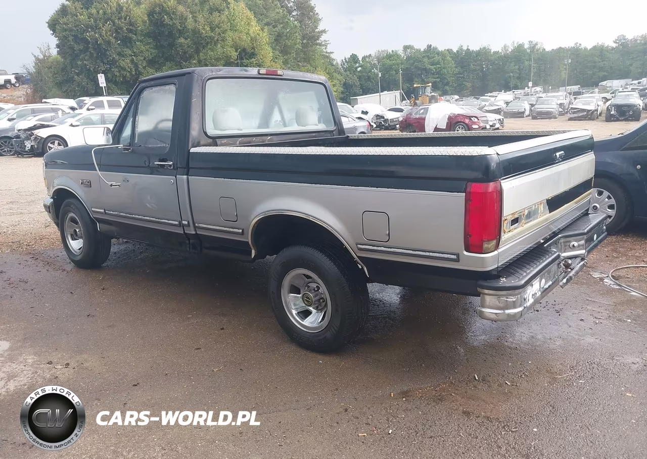 1994 Ford F150 VIN:1FTEF15N6RNB42383 - 3