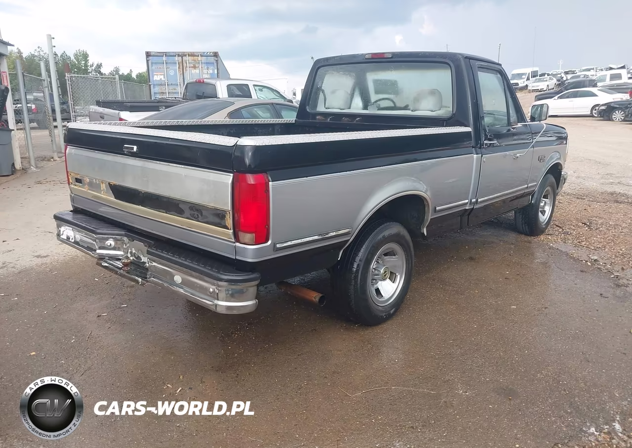 1994 Ford F150 VIN:1FTEF15N6RNB42383 - 4