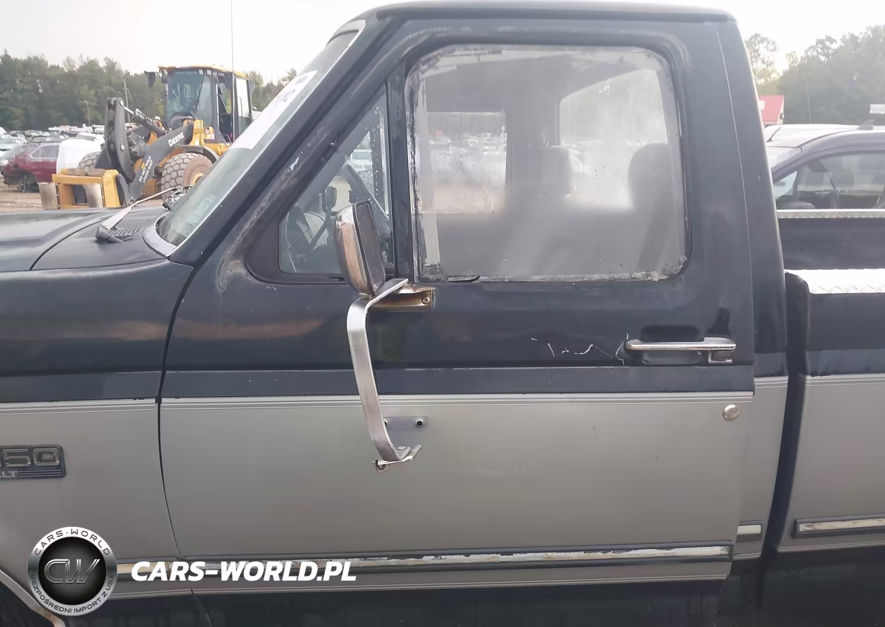 1994 Ford F150 VIN:1FTEF15N6RNB42383 - 6
