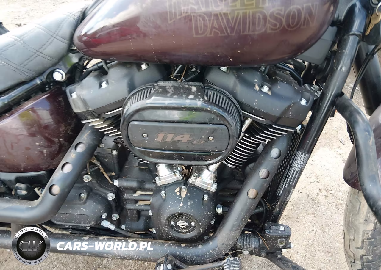 2021 Harley-Davidson Fxlrs VIN:1HD1YWK17MB040512 - 8