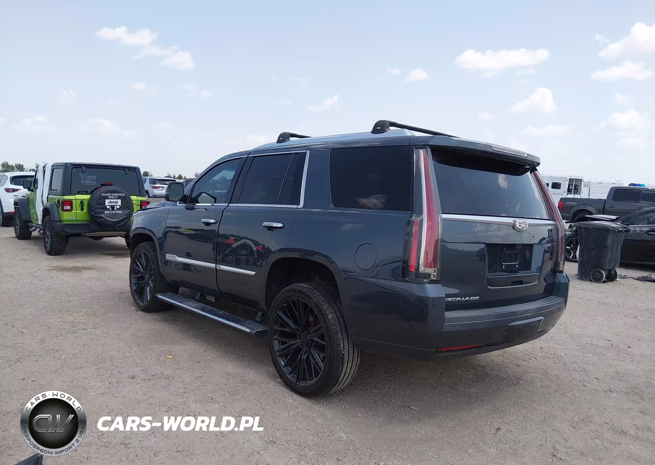 2019 Cadillac Escalade Premium Luxury VIN:1GYS4CKJ2KR172639 - 3