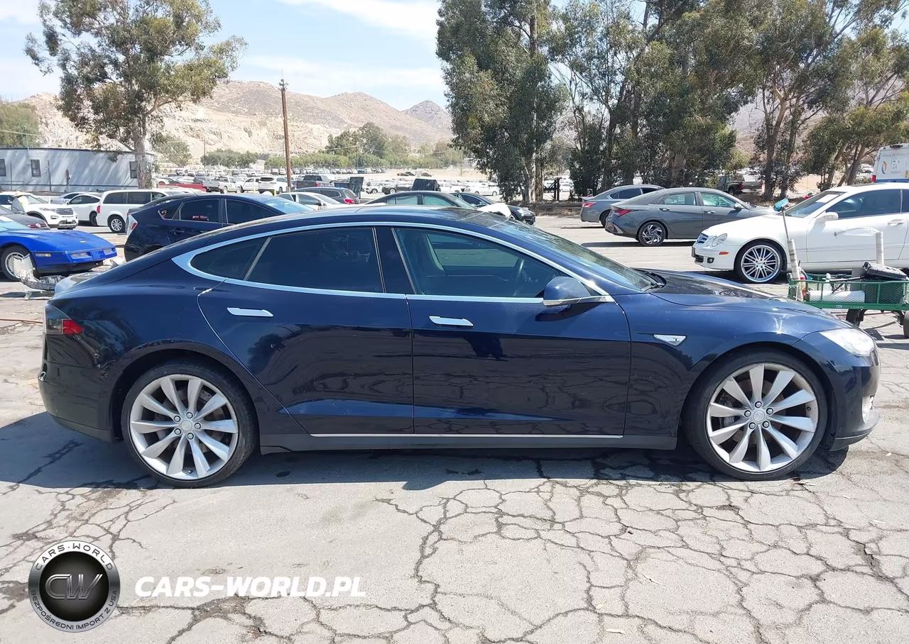 2013 Tesla Model S Performance VIN:5YJSA1DP7DFP11611 - 12