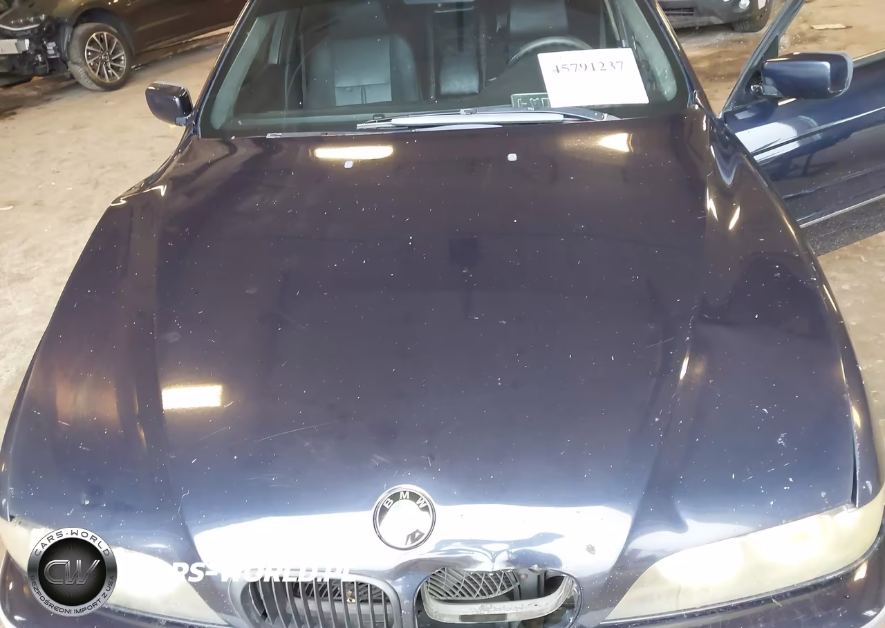 2001 BMW 540Ia VIN:WBADN634X1GM72149 - 10