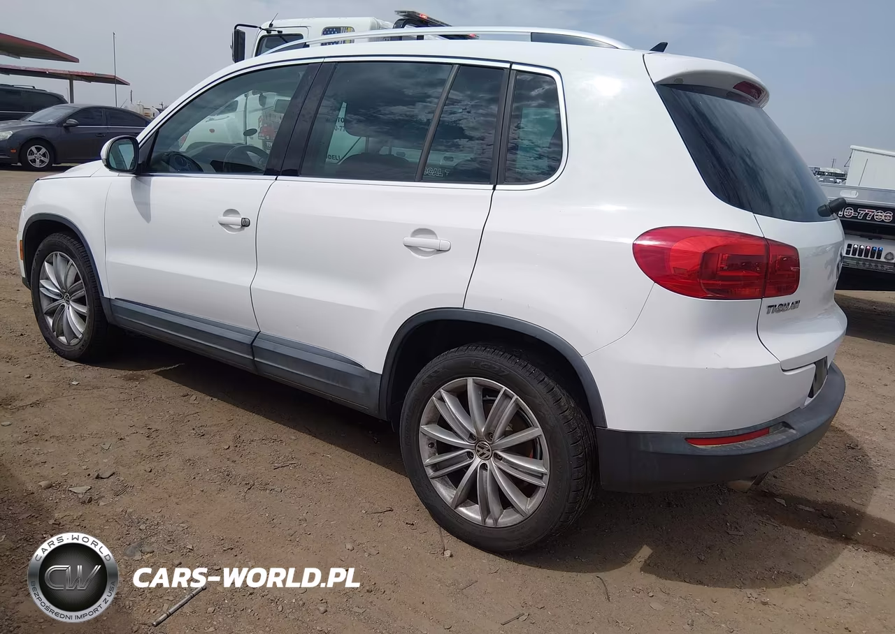 2013 Volkswagen Tiguan Se VIN:WVGAV7AX6DW551011 - 3