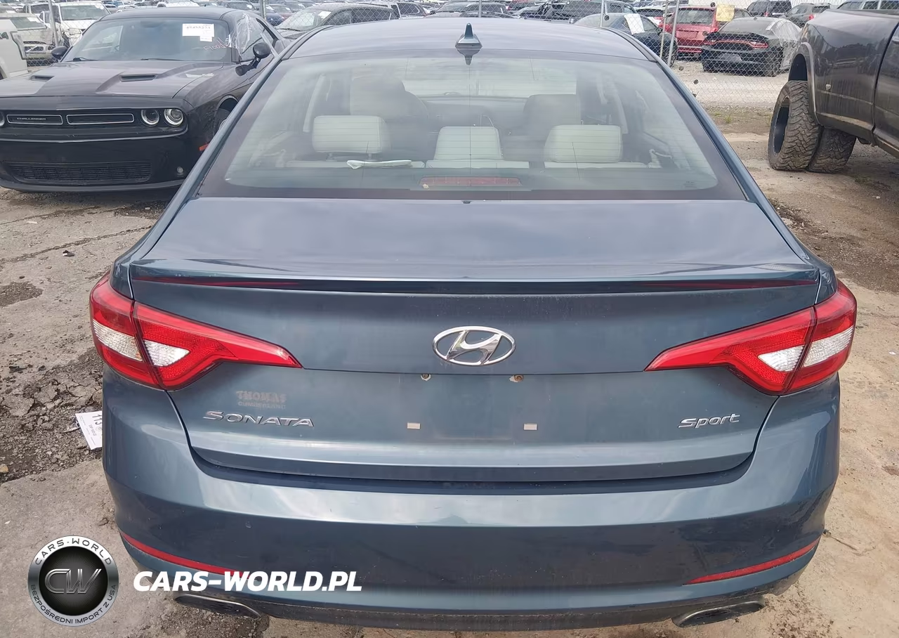 2016 Hyundai Sonata Sport VIN:5NPE34AF8GH396313 - 16