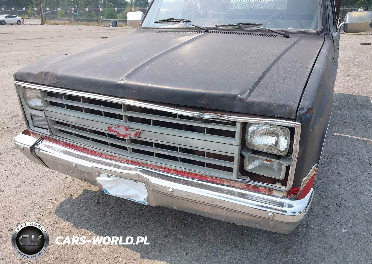 1985 Chevrolet C10 VIN:1GCEC14H5FJ185202 - 6