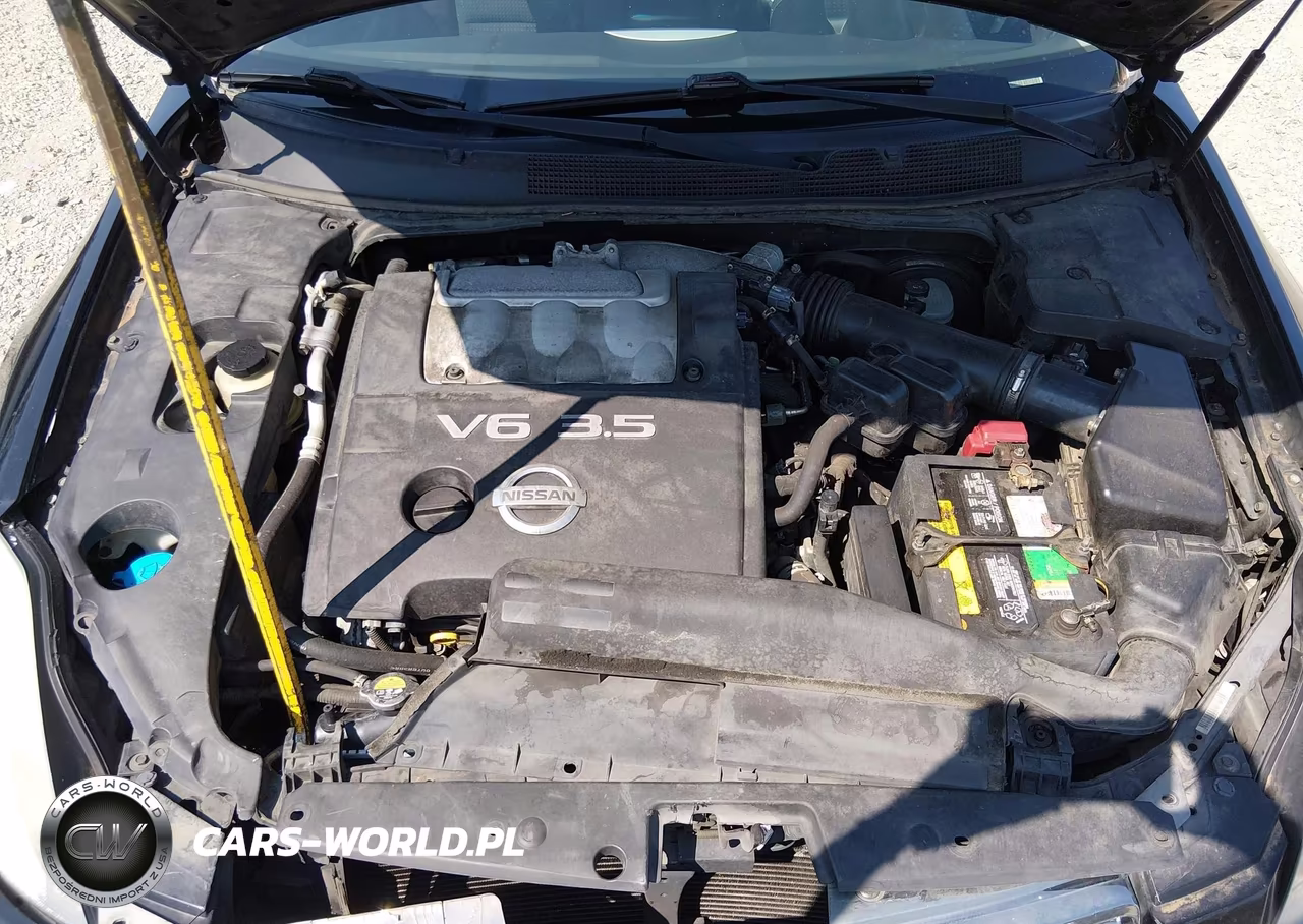 2005 Nissan Maxima 3.5 Se VIN:1N4BA41E45C824179 - 10