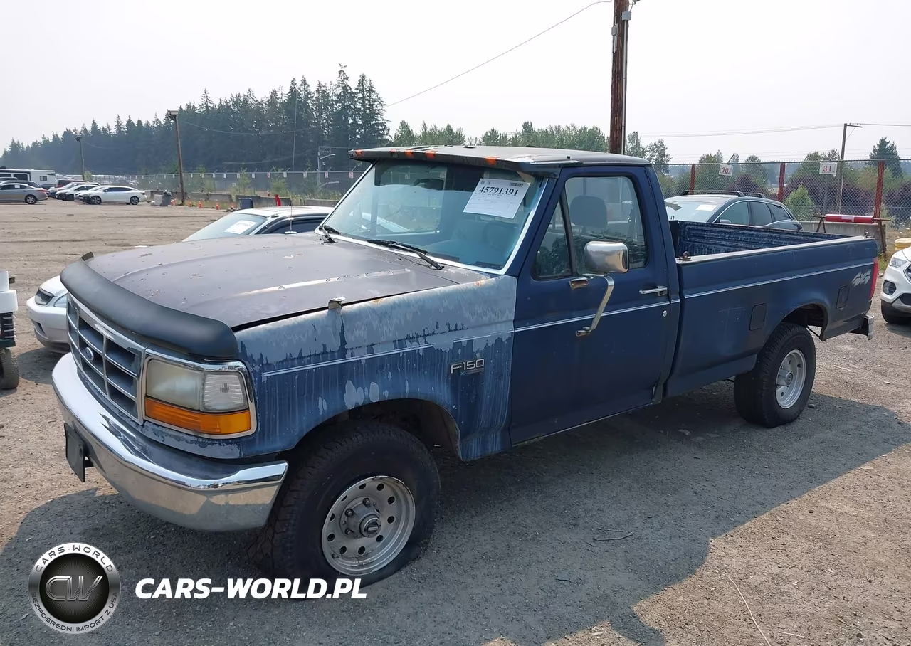 1993 Ford F150 VIN:1FTEF14Y8PLA02078 - 2