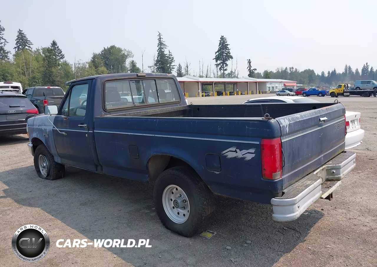1993 Ford F150 VIN:1FTEF14Y8PLA02078 - 3