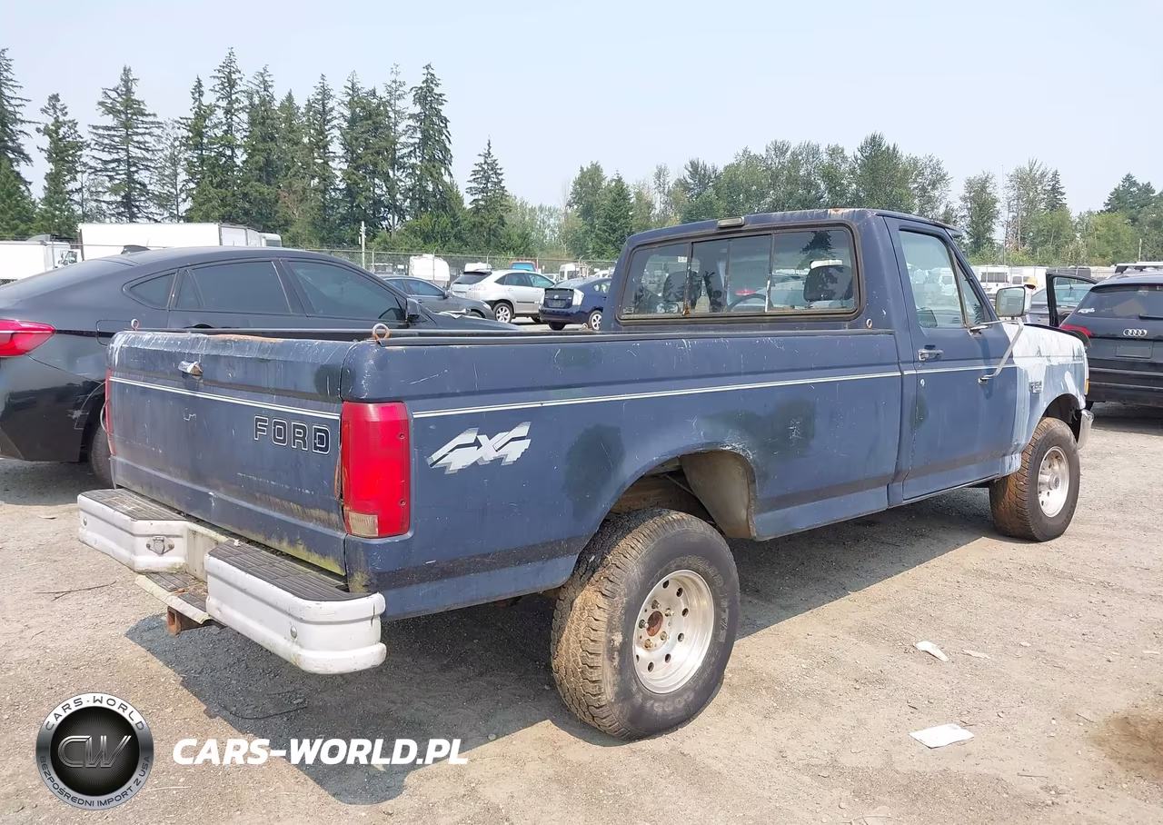 1993 Ford F150 VIN:1FTEF14Y8PLA02078 - 4