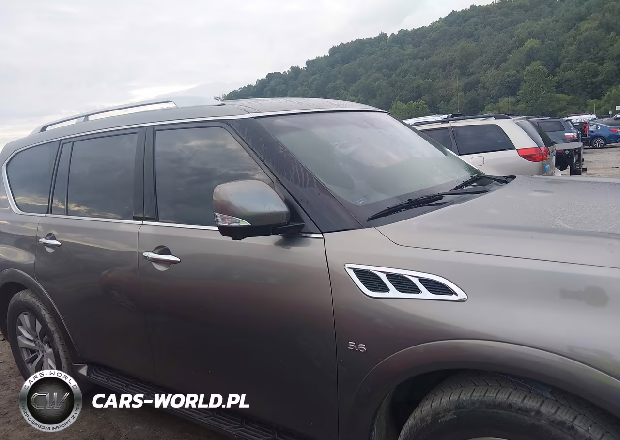 2016 Infiniti Qx80 Limited VIN:JN8AZ2NE0G9121163 - 13