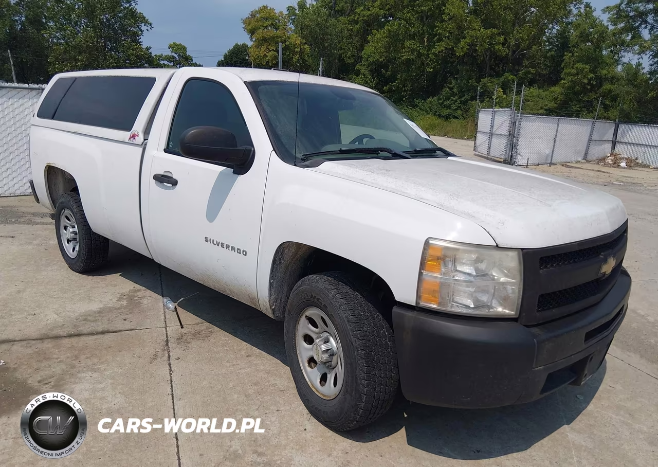 2010 Chevrolet Silverado 1500 Work Truck