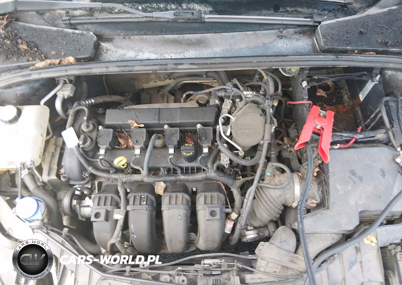 2015 Ford Focus Se VIN:1FADP3F20FL252559 - 10